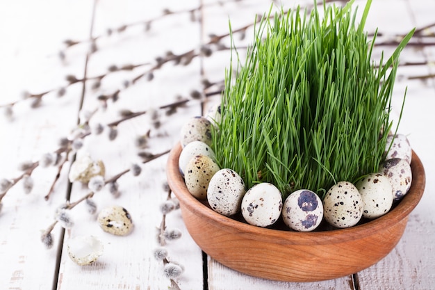 Quails egg .Easter background