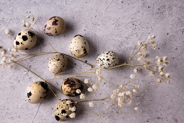 Quails Eggs on the gray stone background Flat lay Place for the text