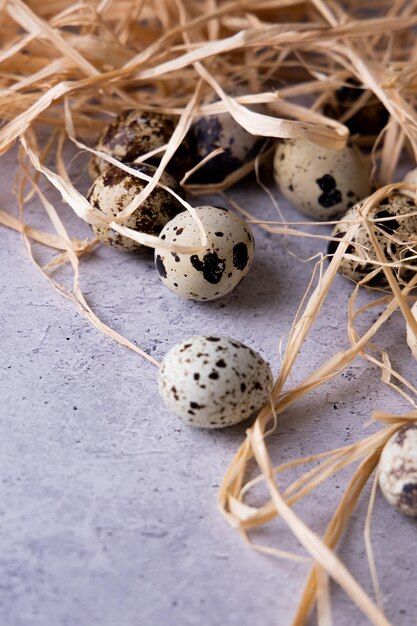 Quails Eggs on the gray stone background Flat lay Place for the text