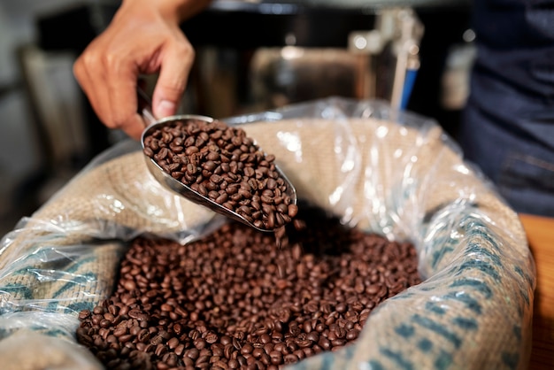 Foto qualità arabica in fabbrica