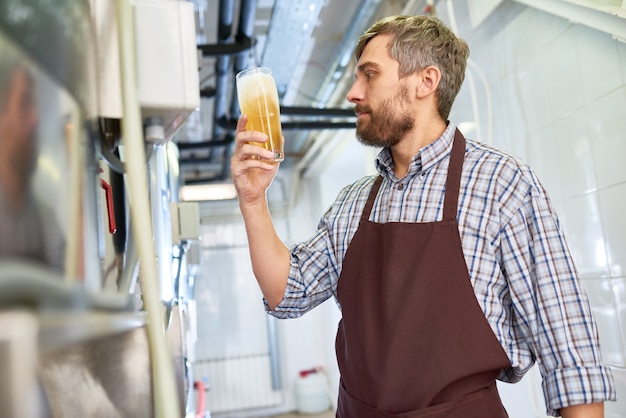 Photo quality control expert working at brewery plant