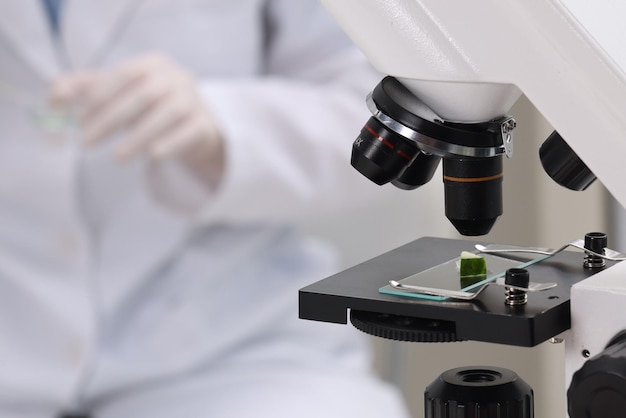 quality control food inspector working in laboratory focus on microscope