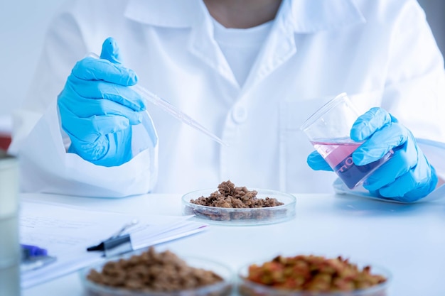 Quality control personnel are inspecting the chemical quality pet food Quality of human food and pet food Quality control process and chemical analysis of human and pet food industry