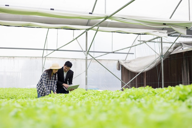 Quality inspector and female farmer at hydroponics farm