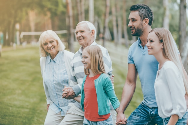quality time with family. happy young family holding hands while walking outdoors together