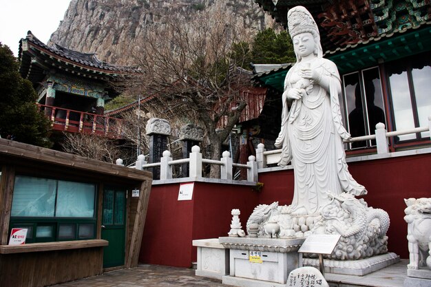 사진 2023년 2월 18일 한국 제주도 산방사에서 한국인 여행자를 위한 관음 또는 관음 중국 여신상