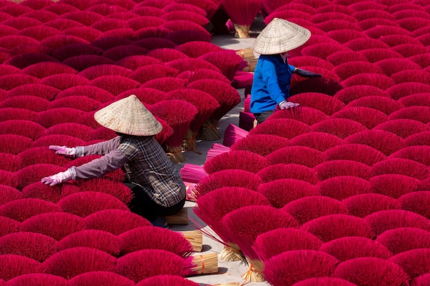 Photo quang phu cau village in hanoi vietnam is famous for its century old craft of making incense drying incense sticks in quang phu cau handicraft village