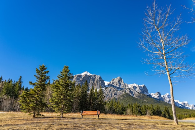 Photo quarry lake park. snow capped mount rundle mountains in the background.