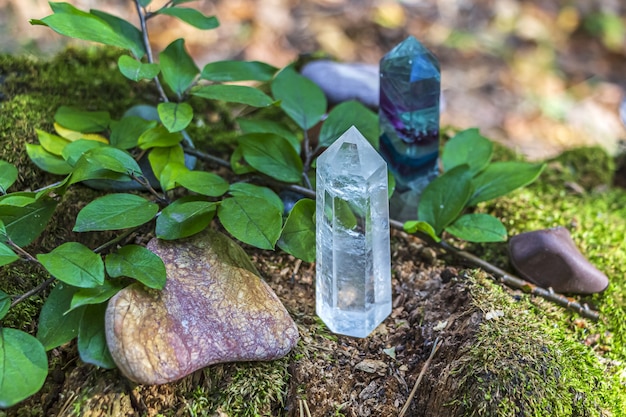 Quartz crystal on mossy tree stump