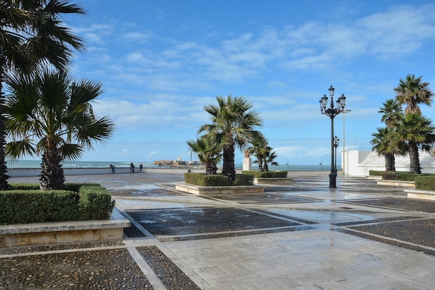 Quay in Cadiz