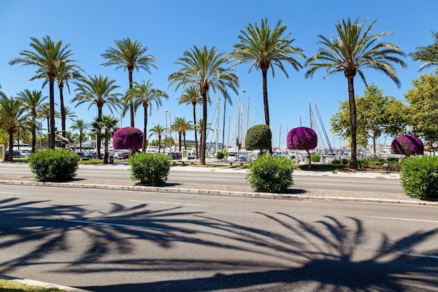 Quay in Palma de Mallorca Quay in Palma de Mallorca on a sunny day that offers views of the port