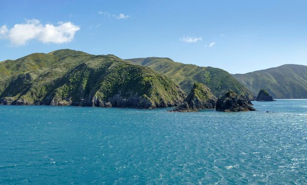 Photo queen charlotte sound