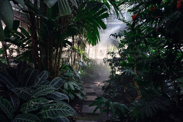 Foto queen sirikit botanical garden sfeer in de kwekerij van diverse tuinplanten