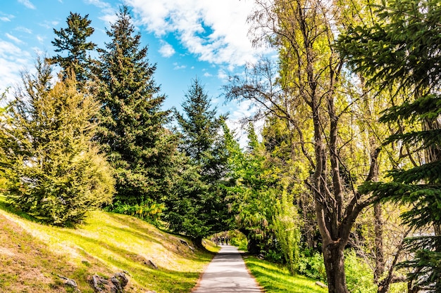 Foto queenstown nuova zelanda