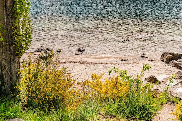 Foto queenstown nuova zelanda