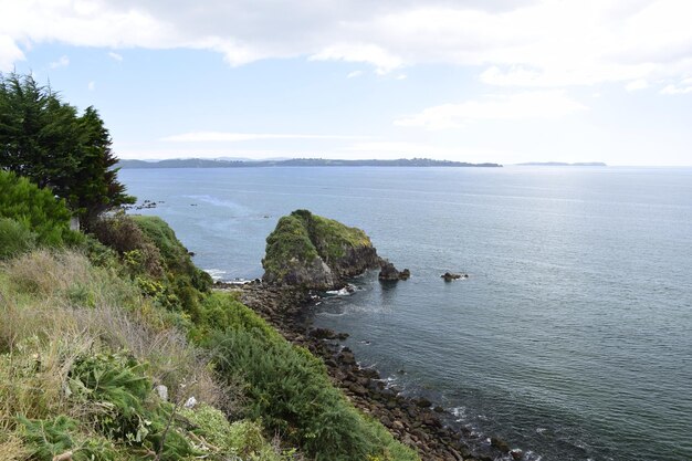 QUELLONCHILE岩の多い海の海岸の眺め