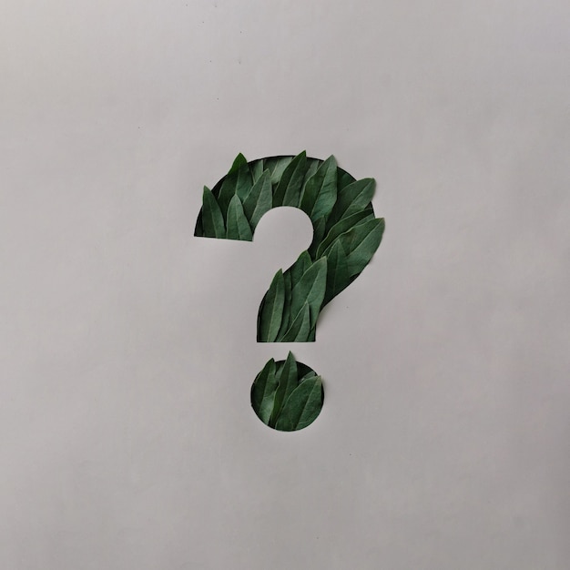 Photo question mark cut out of grey paper with fresh green leaves protruding through and copy space in a conceptual image for environmental or ecological themes