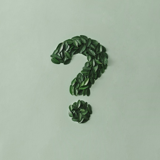 Question mark formed of small fresh green leaves on a matching light green card with copy space for eco, zen or nature concepts