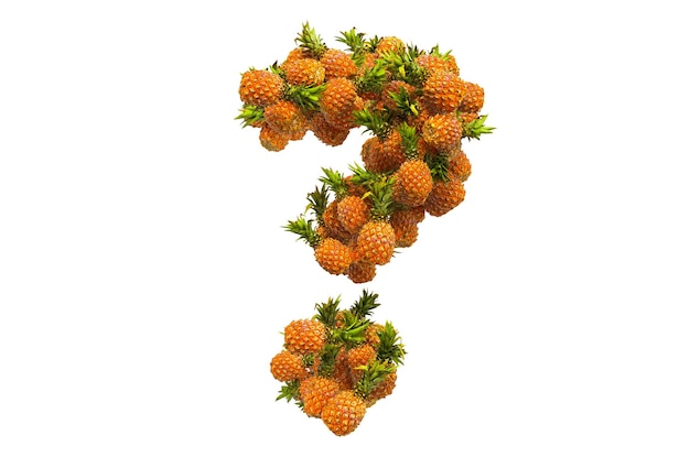 Question mark from pineapples 3D rendering