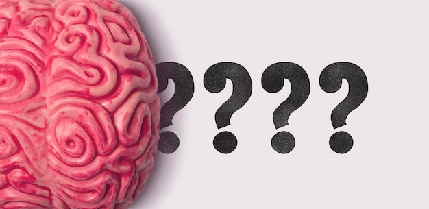 question mark word next to a human brain model