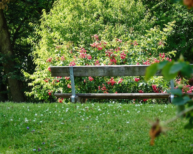 Quiet bench in the park Vienna Austria