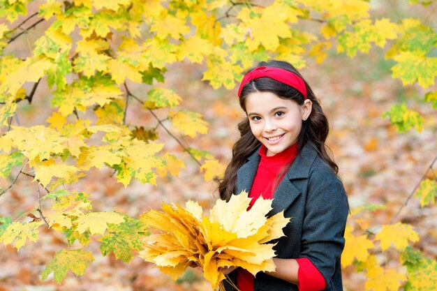 고요한 아침 자연의 아름다움 긴 머리를 가진 행복한 소녀 가을 공원에서 노란 단풍잎을 모으는 아이 가을은 학교에 갈 시간입니다 야외 산책하기 좋은 날씨 아이가 단풍
