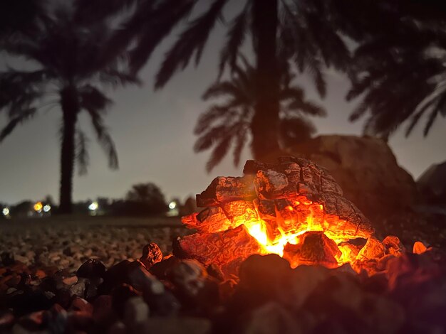 写真 砂漠の火の場面で静かな夜