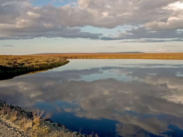 Quiet northern river ob on the Yamal