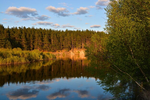 Tranquilla serata primaverile sul fiume della foresta