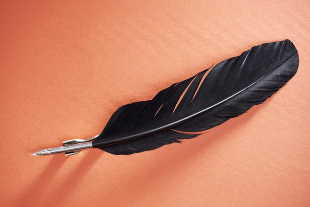 Quill pen against red background