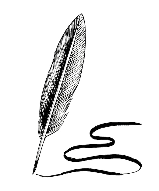 Foto penna d'oca che disegna una linea disegno in bianco e nero con inchiostro