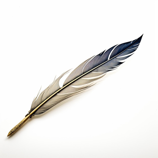 白い背景の高品質の羽ペン