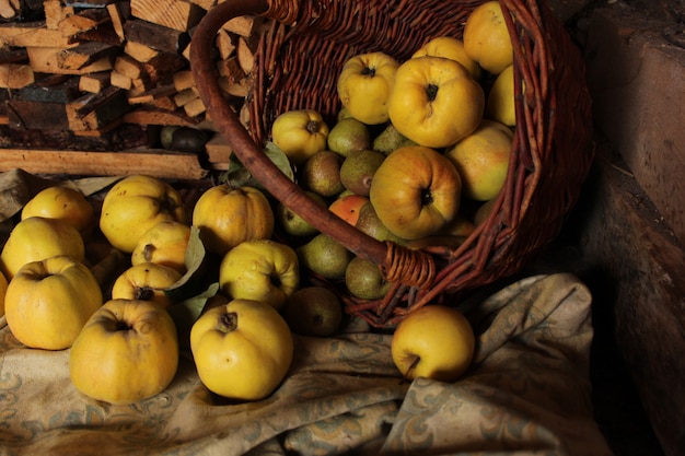 Merce nel carrello della mela cotogna. grandi frutta e fetta mature della cotogna con fogliame verde nel tardo autunno sulla tavola di legno marrone. vista dall'alto