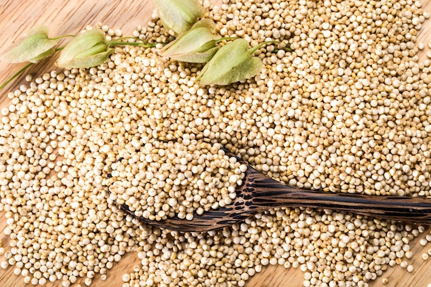 Photo quinoa seed
