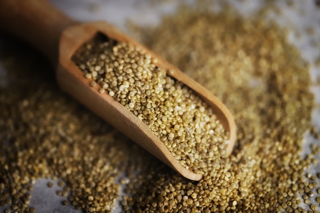 Quinoa in a wooden spatula.