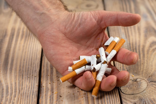Quit smoking cigarette concept. Broken cigarettes. Quit bad habit, health care concept. I do not smoke