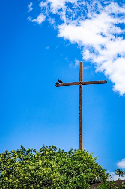 QuotChacara Von Schilgenquot ビトリア州エスピリト サント ブラジルの鳥は、青い空を背景に木製の十字架にとまり、前景には緑の植生があります