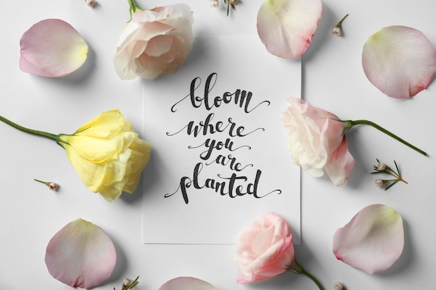 Quote Bloom where you are planted written on paper with petals and flowers Top view