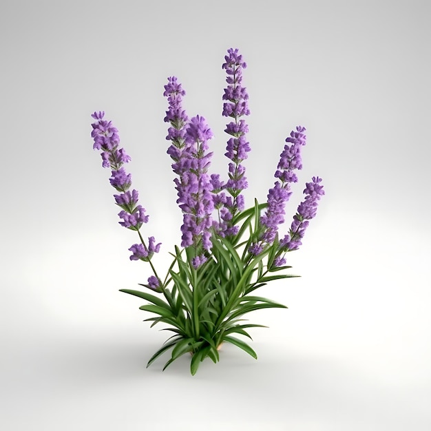 QuotLonely Lavandula Isolated Beauty Lavandula Violet Flowering Plant in Focus 인공지능이 생성되었습니다.