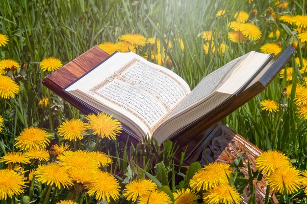 Quran holy book of islam yellow flowers on field