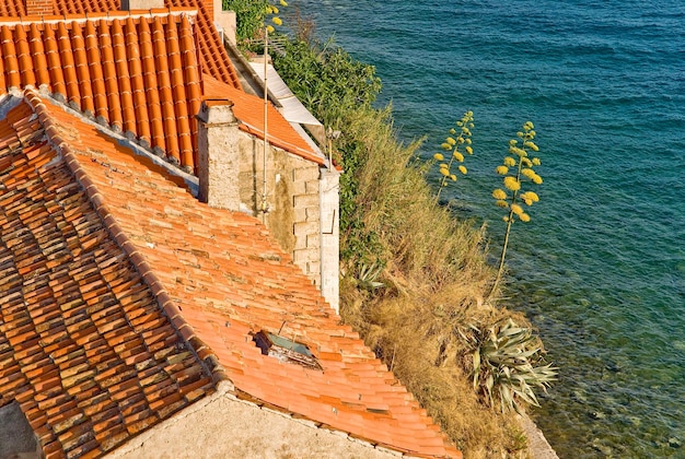 Rab croatia a view over the roof of traditional stone house with typical mediterranean plants