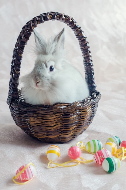 Rabbit in basket with Easter eggs