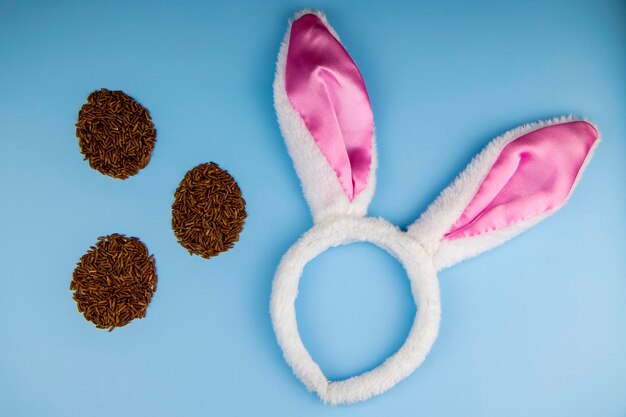 rabbit on a blue background