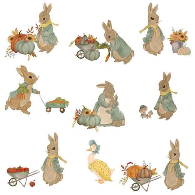 Rabbit illustration, greeting card with rabbit, autumn card, thanksgiving day, invitation