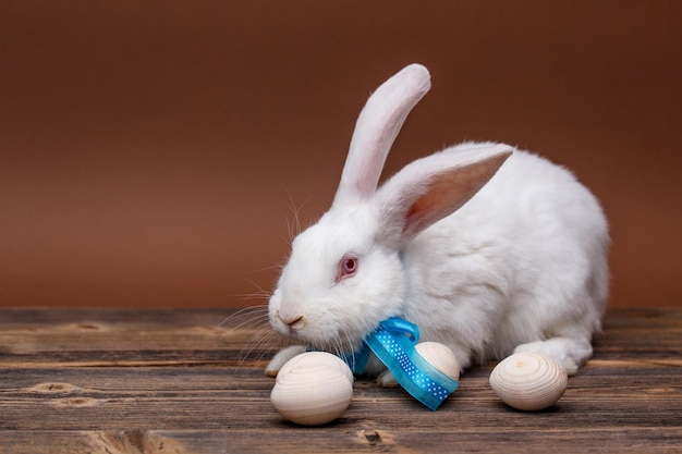 Rabbit with bow