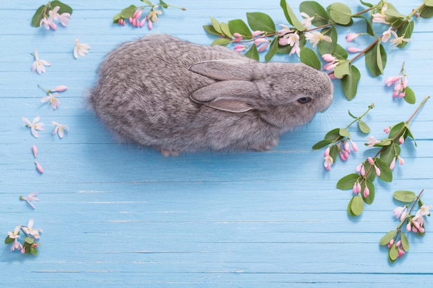 Rabbit with flowers on blue wooden background