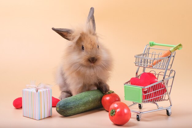 オレンジ色のうさぎには、たくさんの野菜が食べ物やギフトボックスとして置かれています。