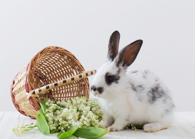 Кролики с весенними цветами на белом фоне