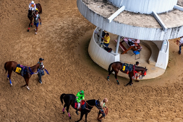 Race horse and jockey jumping over a hurdle 