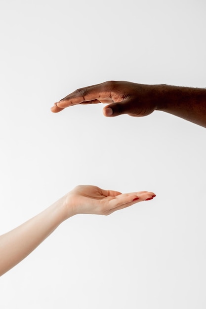 Racial tolerance Sharing exchange National partnership Multiethnic collaboration Conceptual art portrait White female and black male hands holding invisible object isolated light copy space